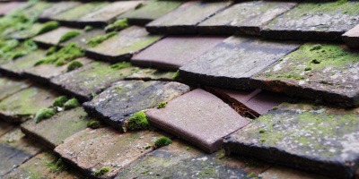 Wrington roof repair costs